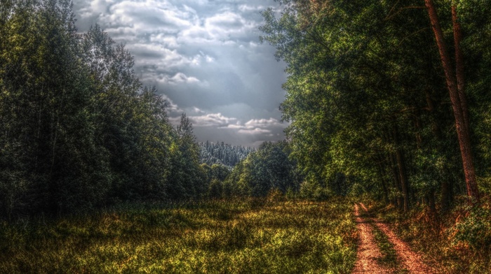 nature