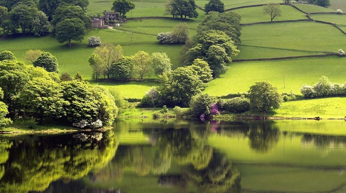 lake, nature