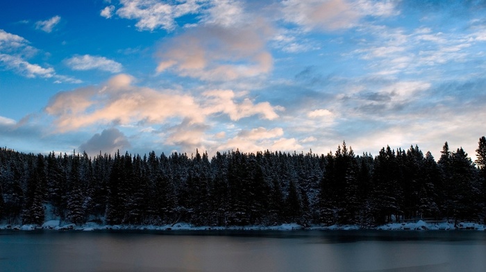 snow, winter