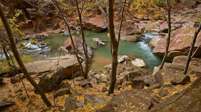 creek, autumn