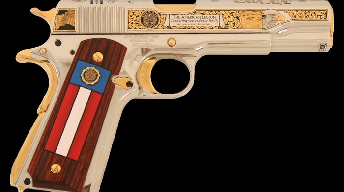 gun