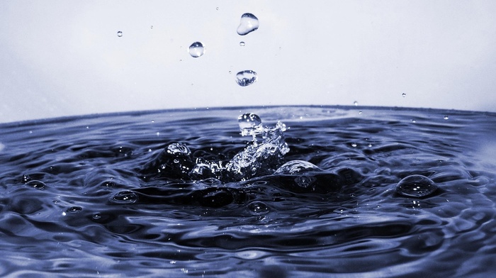 water, macro