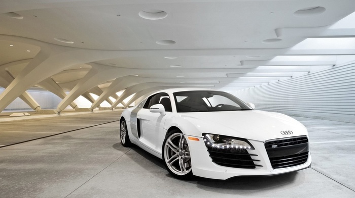 Audi, cars, white background