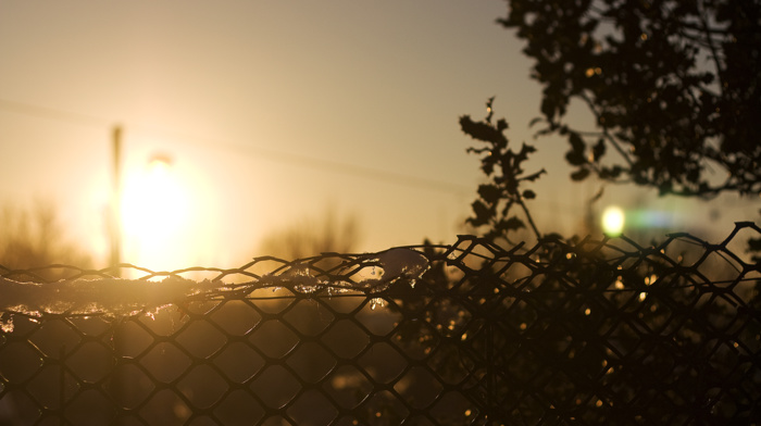 fence, Sun, ice, sunrise, yellow, sunlight