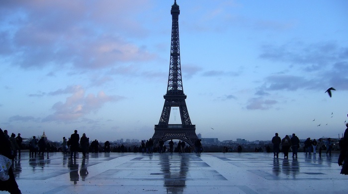 Paris, gloomy, Eiffel Tower, France, architecture