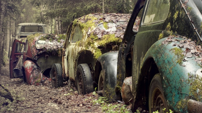 rust, abandoned, moss, urban exploration, old car