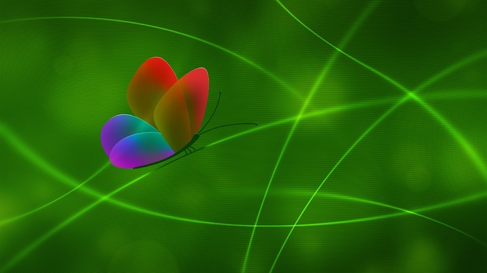 green, lines, 3D, color, butterfly