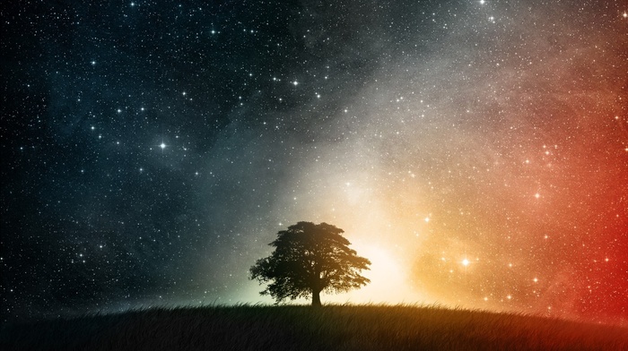 tree, night, hill, stars, 3D