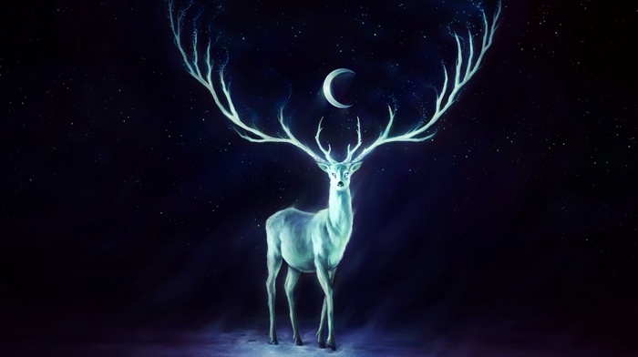 crescent moon, deer, antlers, artwork