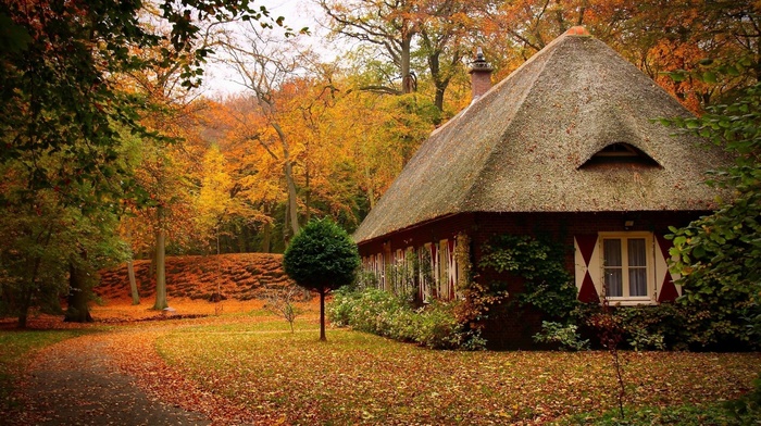 autumn, lodge
