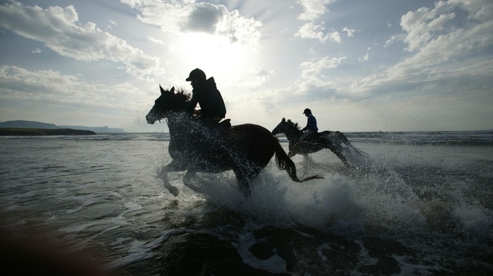 horses, photo, background, nature, beach, splash, sea, people, wallpaper, drops