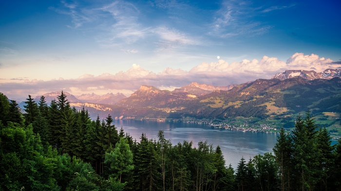 lake, forest