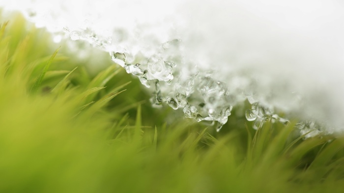 snow, macro, drops, spring