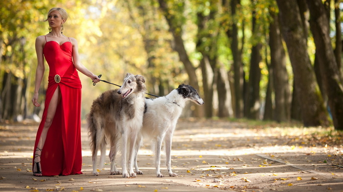 stunner, park, dog, girl