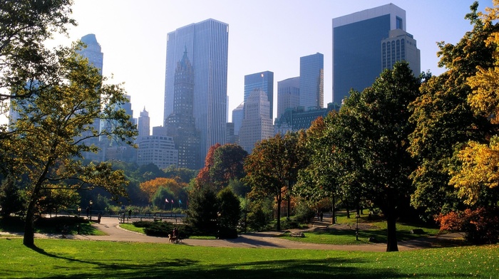 nature, city, trees, park