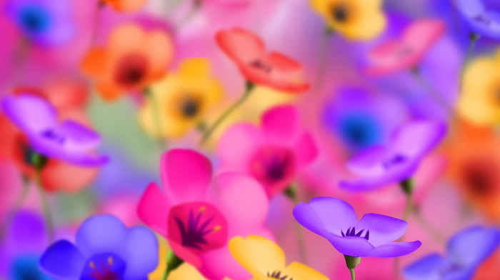 flowers, colors