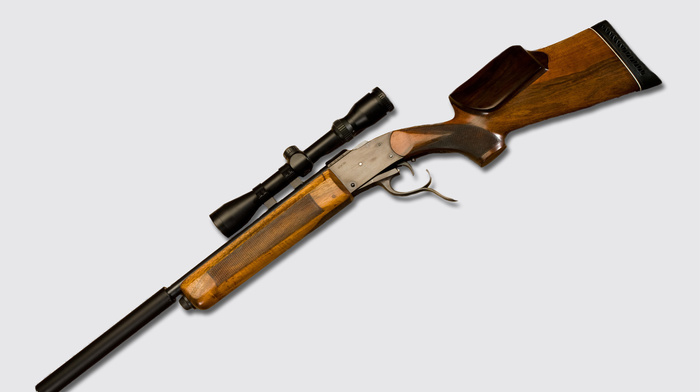 gun