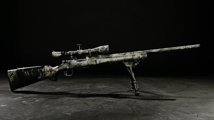 gun