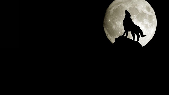 wolf, silhouette, moon, rock, minimalism