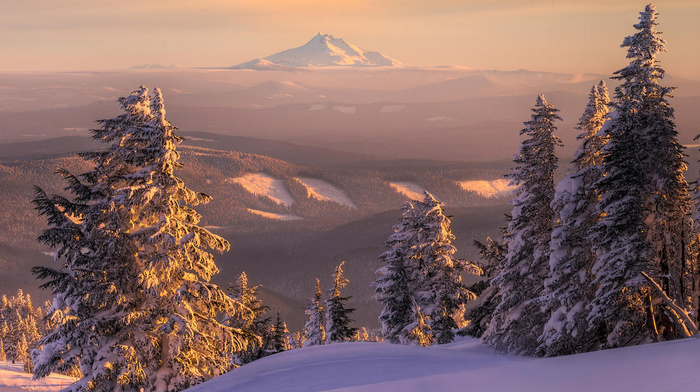 landscape, snow, nature, horizon, forest, mountain, view, winter, sunset, fir-tree