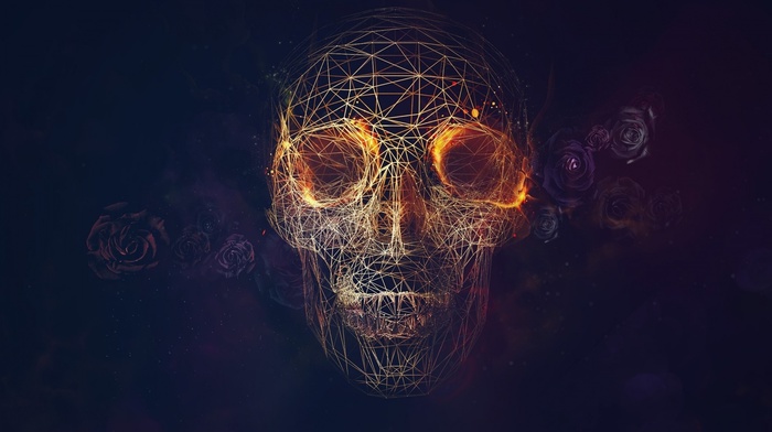 blue background, vectors, lines, skull, fire, wireframe, rose, CGI
