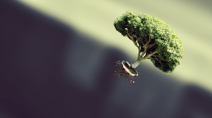 trees, bonsai, blurred, simple background, floating