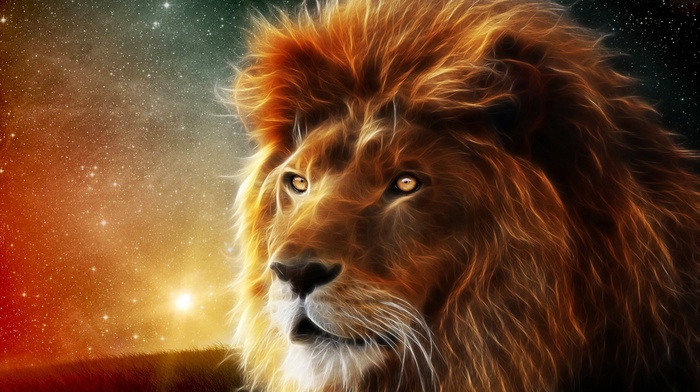 stars, lion