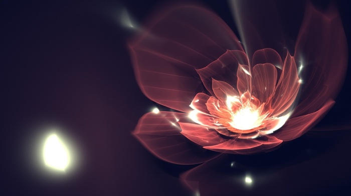 fractal, fractal flowers