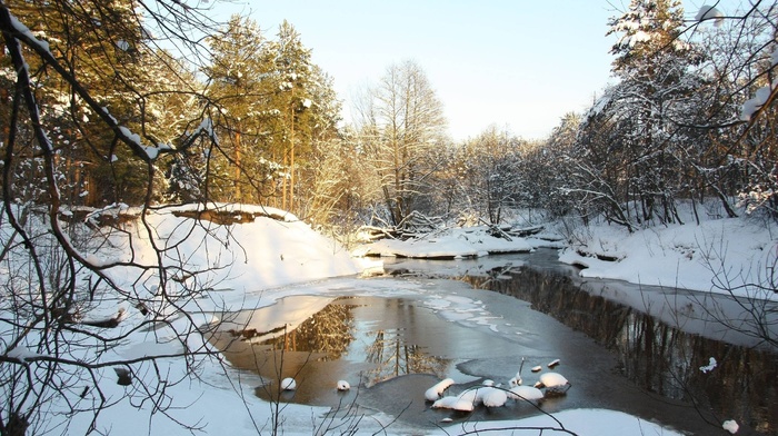 nature, spring, snow, winter, trees