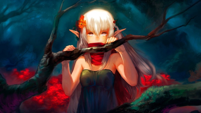 anime
