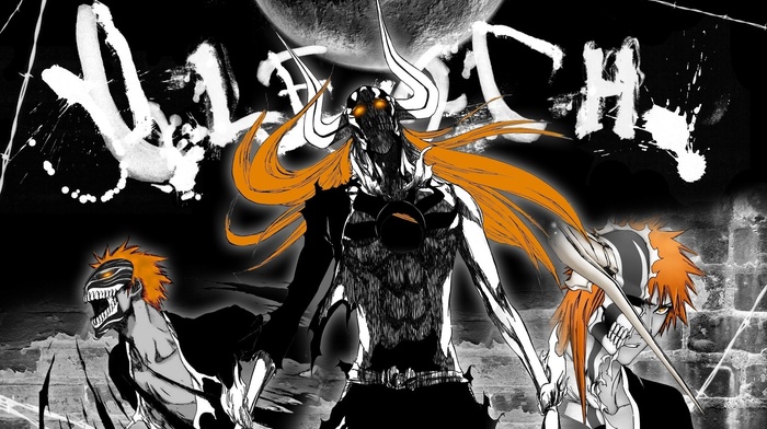 anime, Bleach