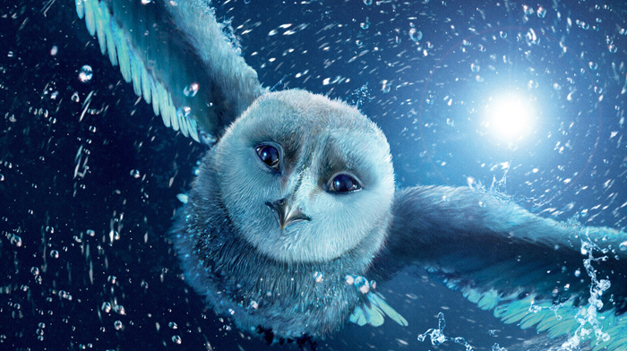 fly, owl, cartoon, movies, night