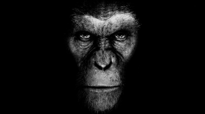 artwork, movies, Planet of the Apes