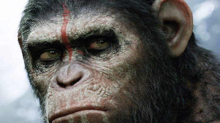movies, artwork, Dawn of the Planet of the Apes, Planet of the Apes