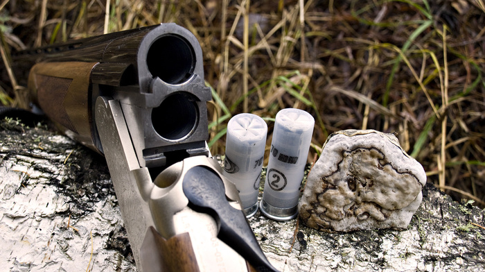 forest, gun