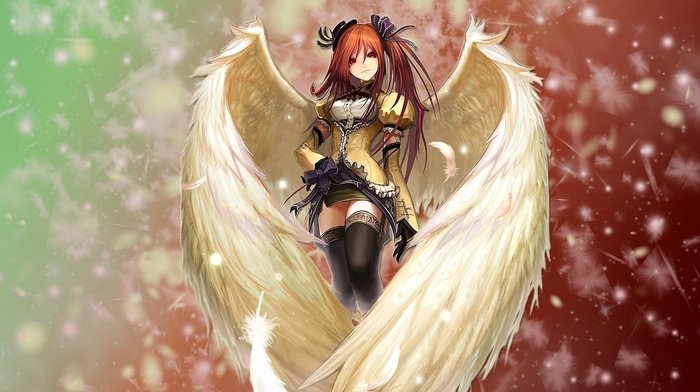 anime girls, wings