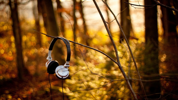 headphones, forest, twigs