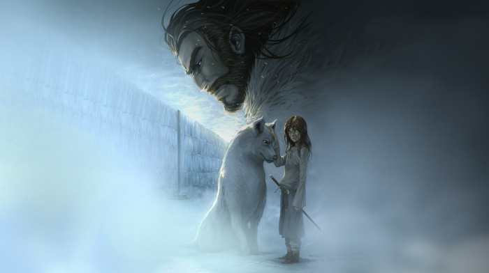 the wall, Arya Stark, direwolves, Game of Thrones