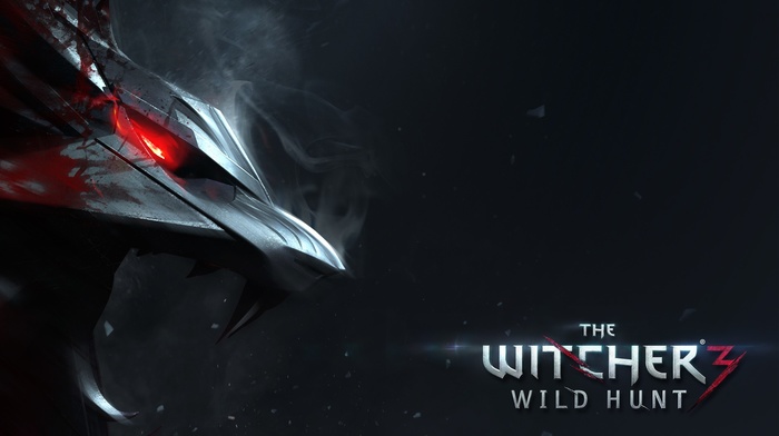 The Witcher 3 Wild Hunt, The Witcher