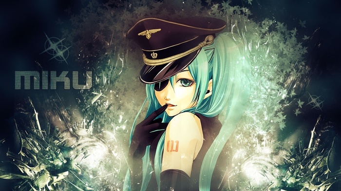 Hatsune Miku, Vocaloid