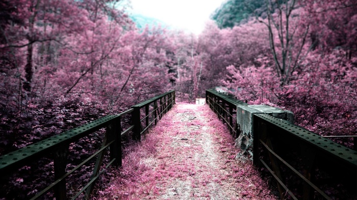 Infrared, bridge