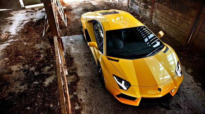 yellow cars, Lamborghini Aventador, car