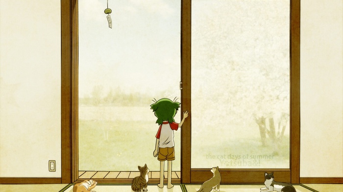 cat, anime, Yotsubato