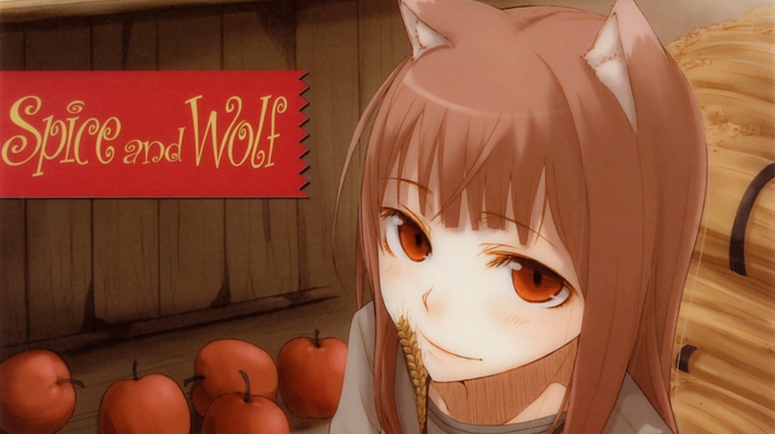 Holo, anime, Spice and Wolf