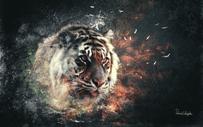 tiger, digital art, abstract
