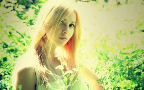blonde, trees