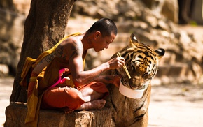 tiger, Buddhism, monks, anime
