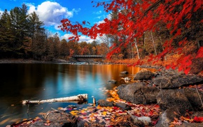 fall, nature, lake, anime