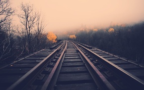 mist, fall, forest, railway