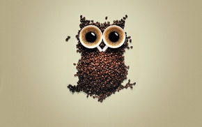 birds, creativity, animals, coffee, coffee beans, owl